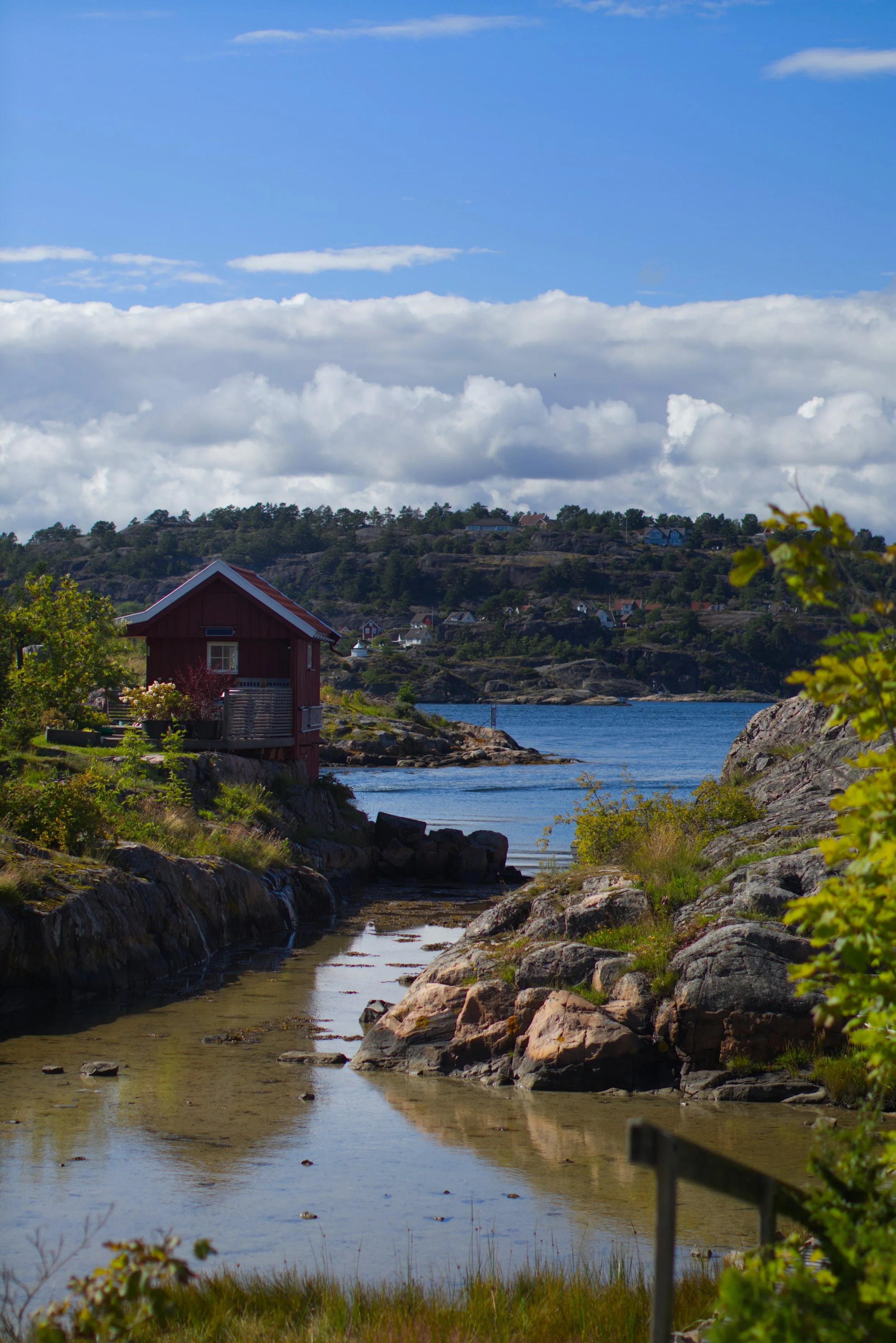 Grønn 2(s).jpg