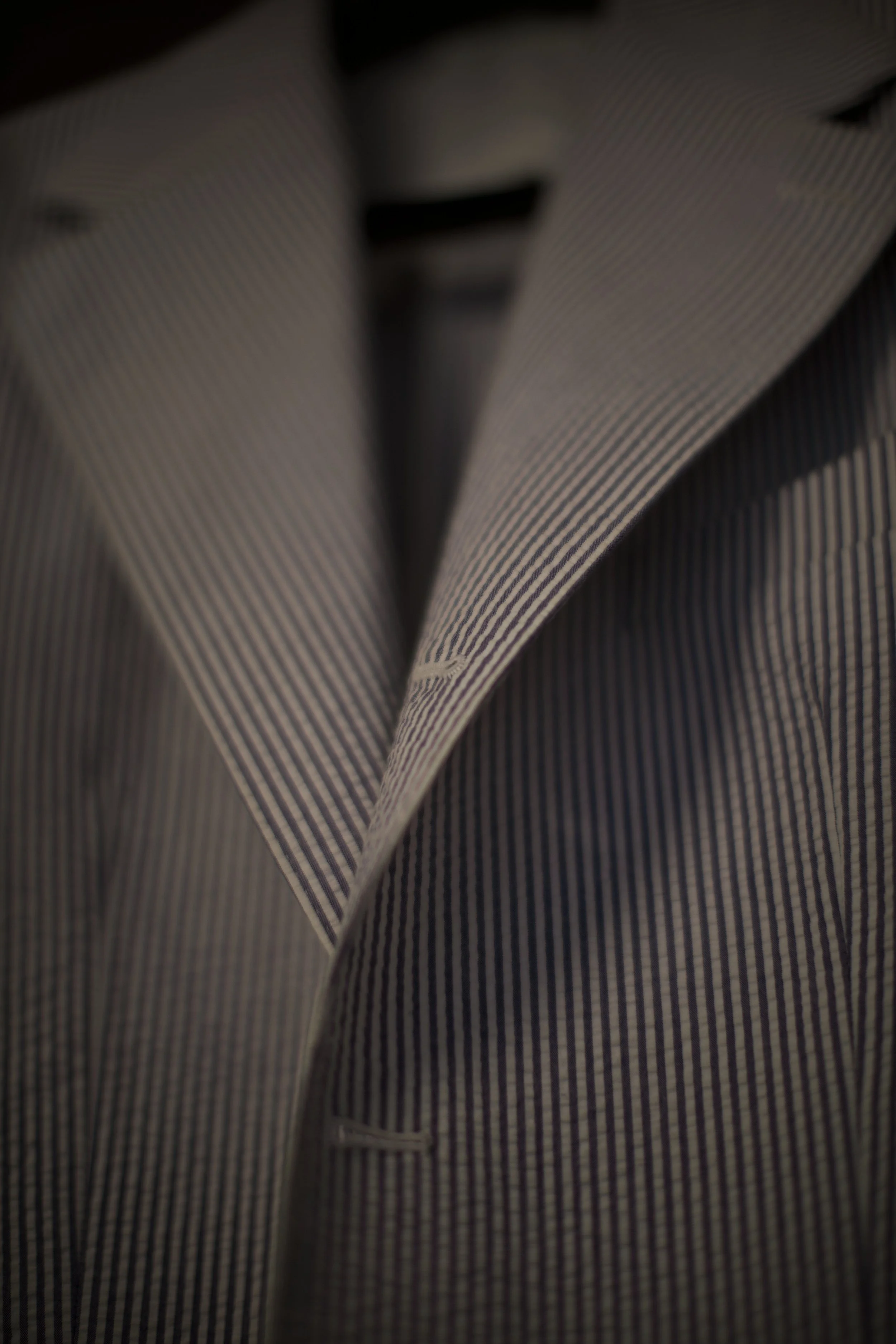 Collaro Seersucker 4.jpg