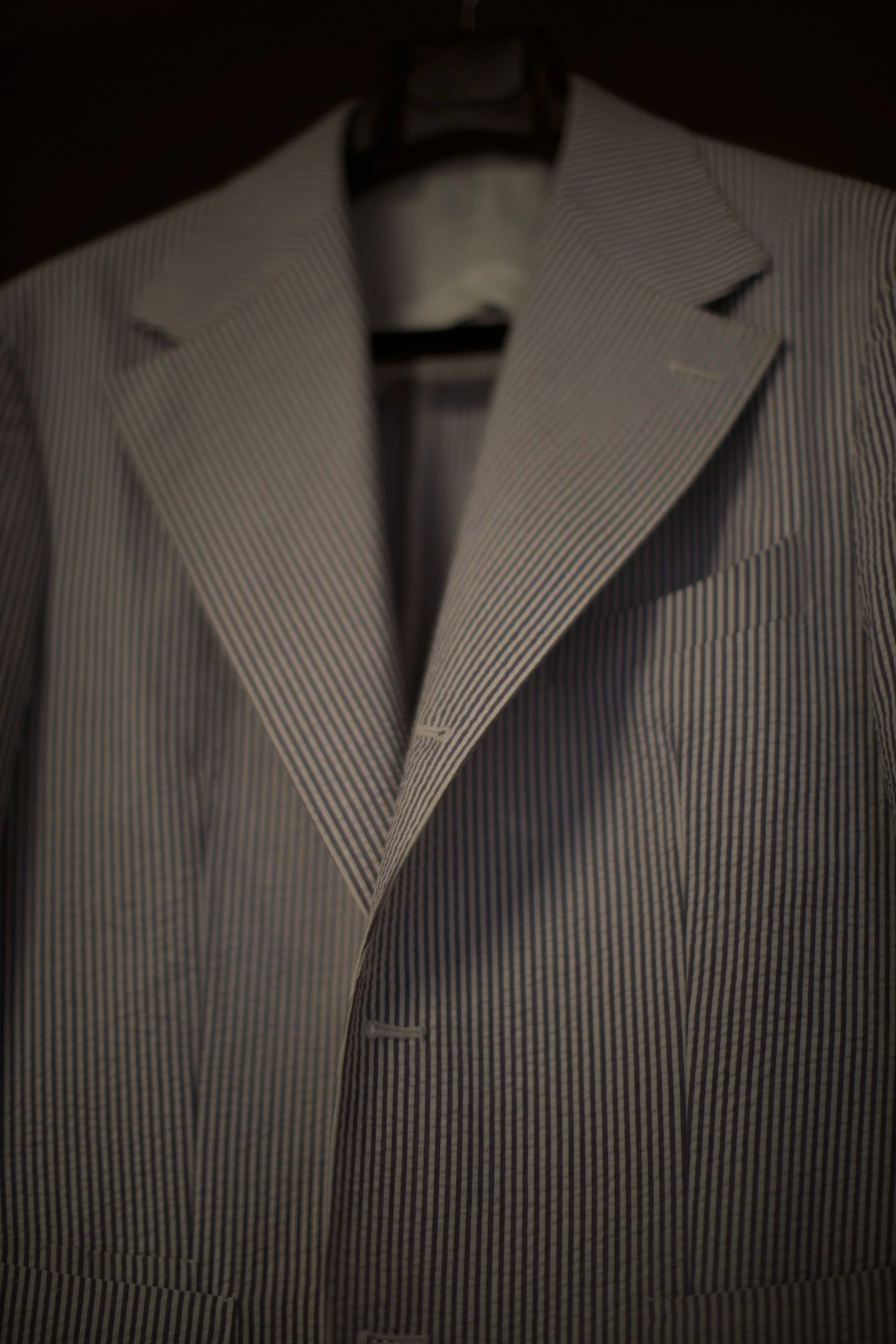 Collaro Seersucker 3.jpg