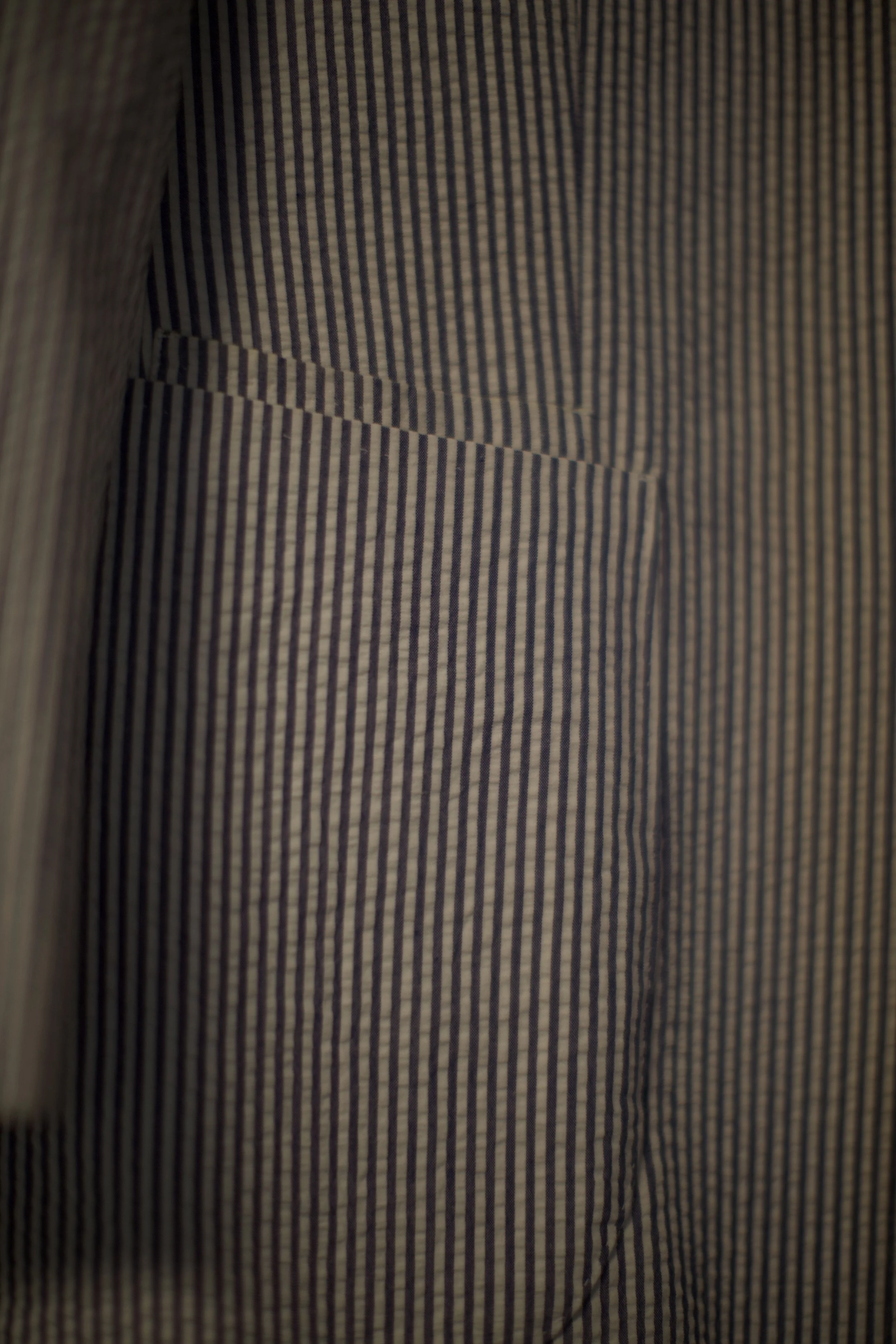 Collaro Seersucker 5.jpg