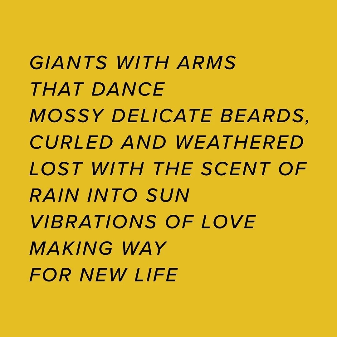 🔎 Excerpts: &quot;OG Trees&quot; / Trees series.

🌲 

🌲

🌲 

#ThisIsForrestGlacier #ResponsiveArt #CreativeWriting #Cedar #EnvironmentalArt #EnvironmentalArtists #PNWArtist #PNWArtists #BlockPrint #LinoleumBlock #Risograph #Poetry #NatureInspired