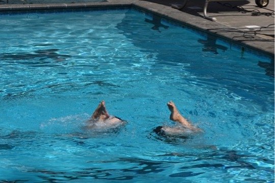 54D2D9E5-CA6A-4D0D-8823-6EB81A7D6832_4_5005_c.jpeg