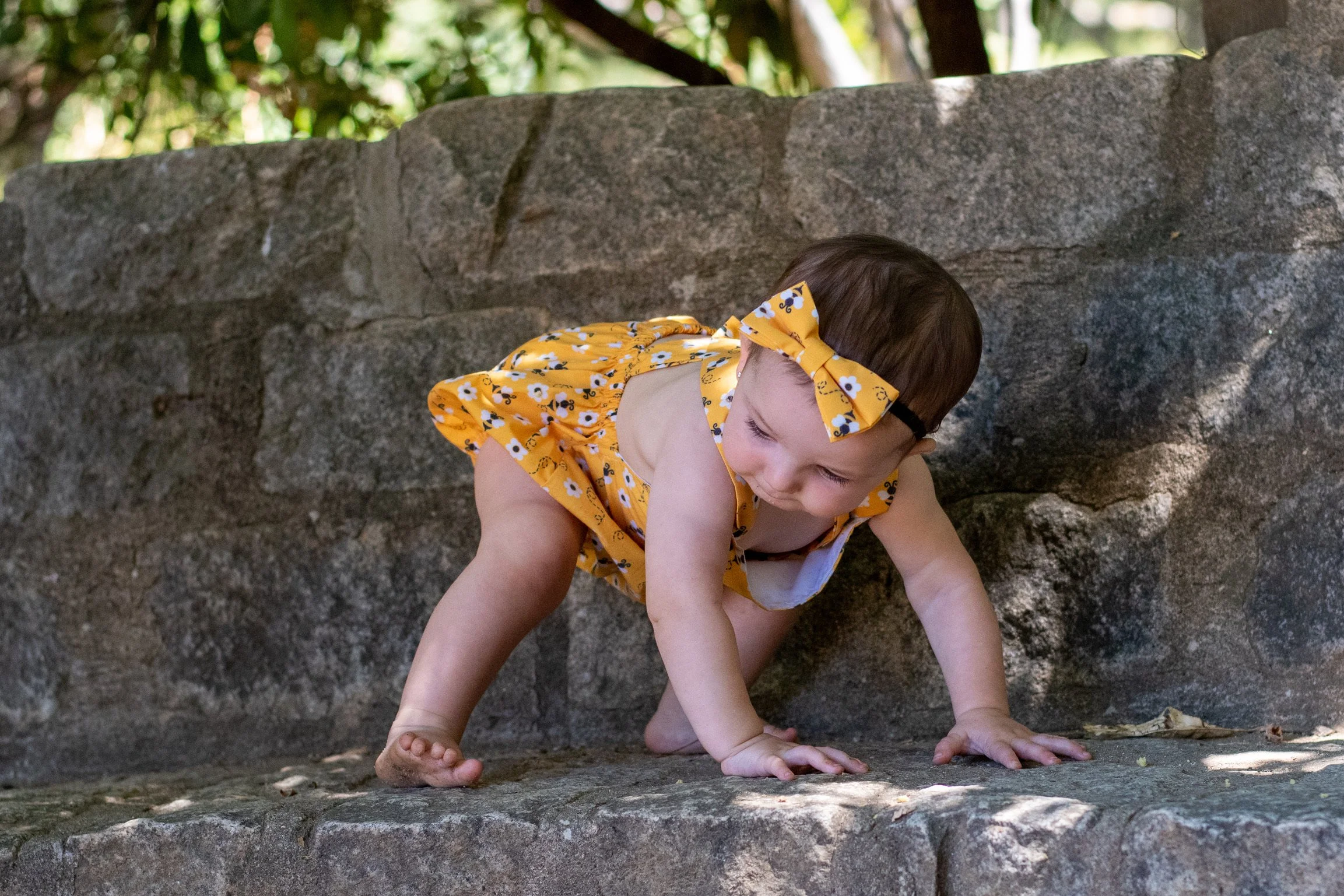 E39548D9-A80F-4A85-BF11-C7FC9B4D1642.JPG