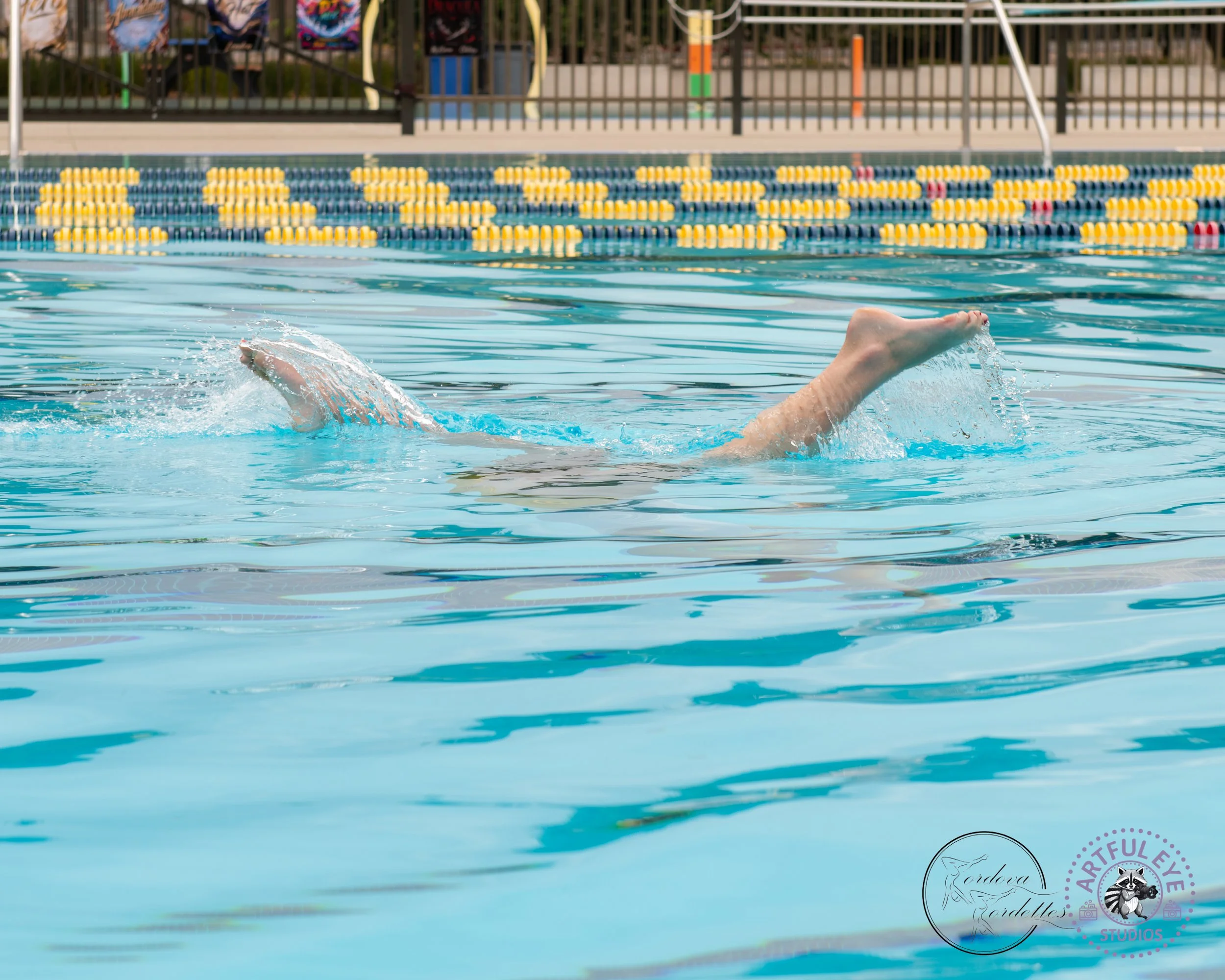 AquaShow2026-247.jpg