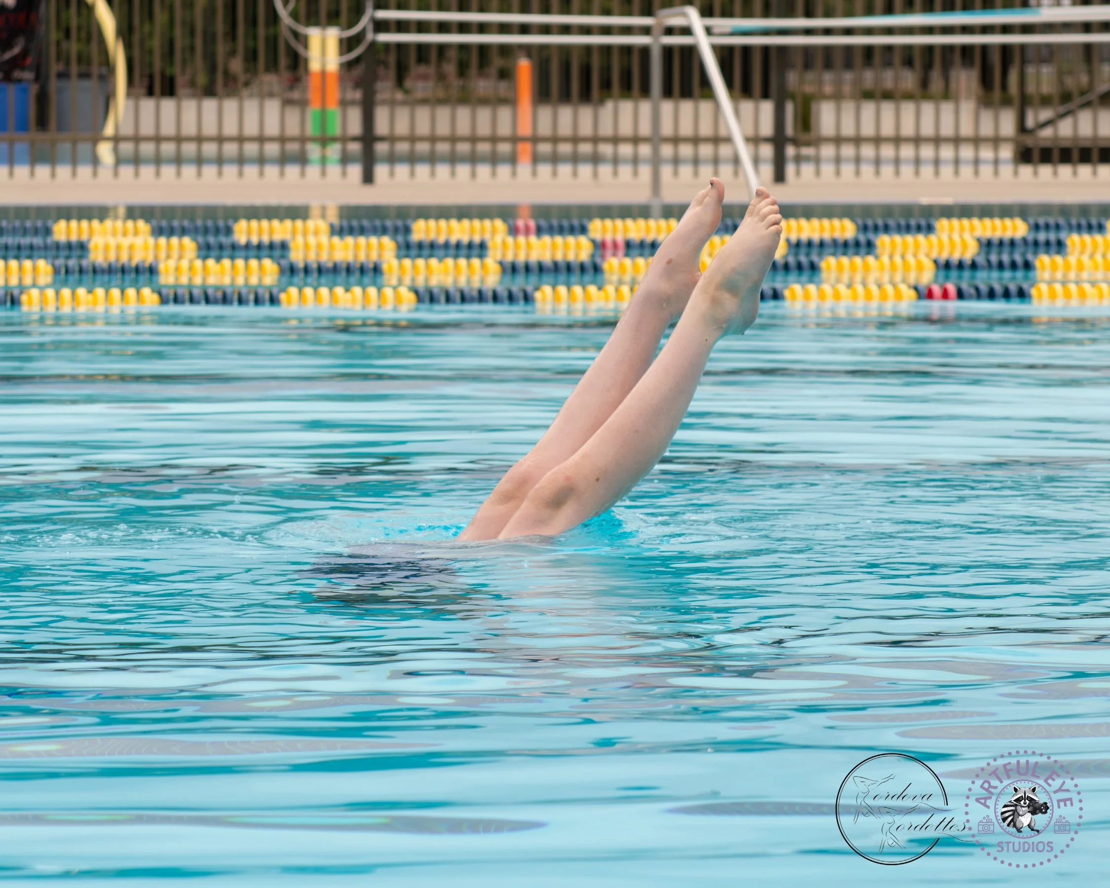 AquaShow2026-194.jpg
