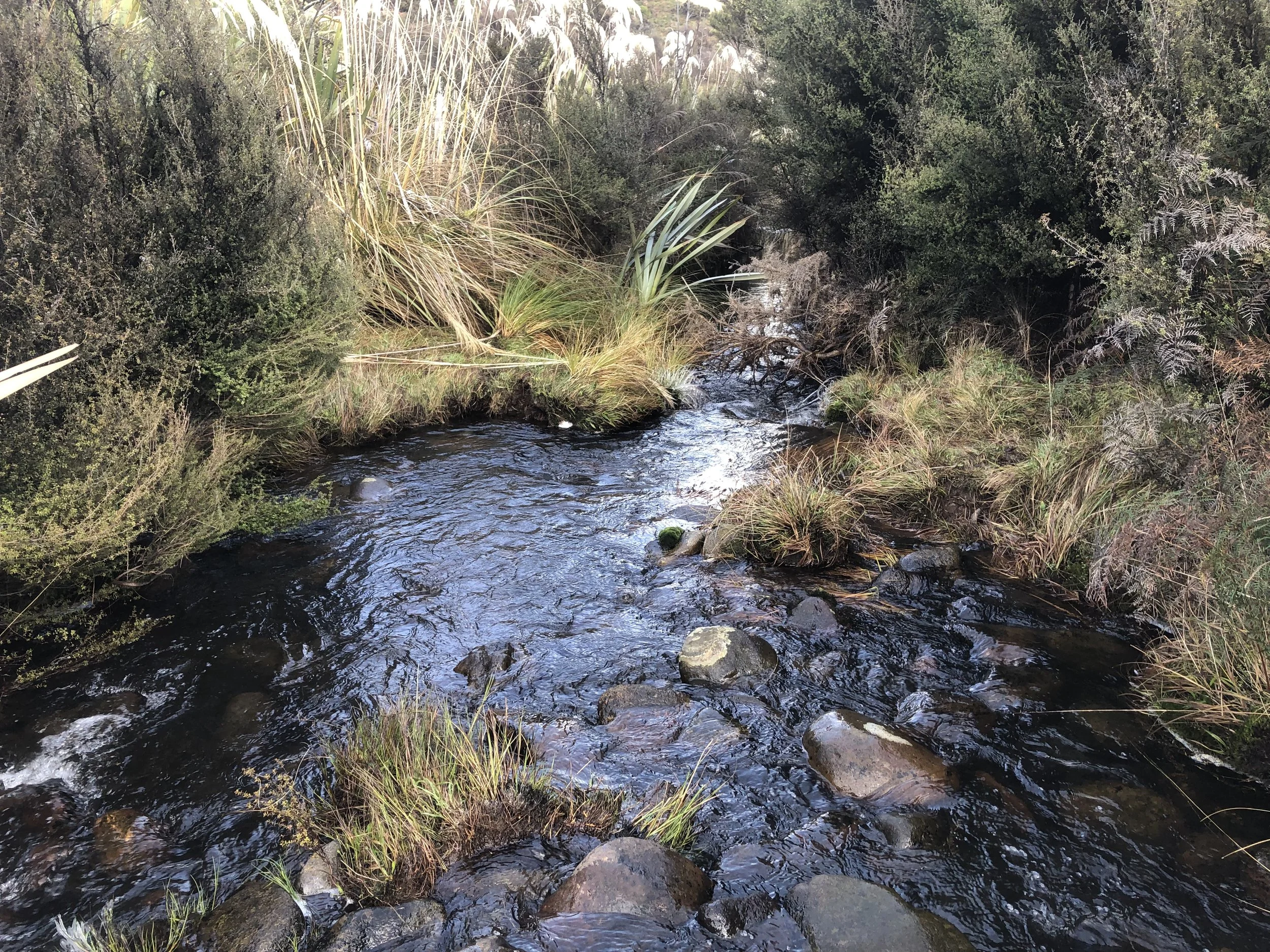 Photo 9-07-21, 11 27 34.jpg