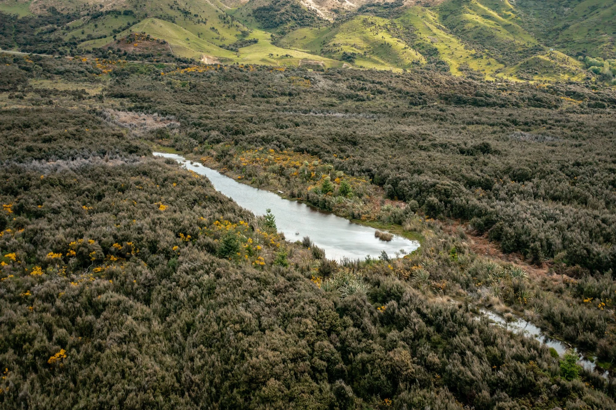 Te Waiau Mahika Kai Trust DJI_0704_LR.jpg