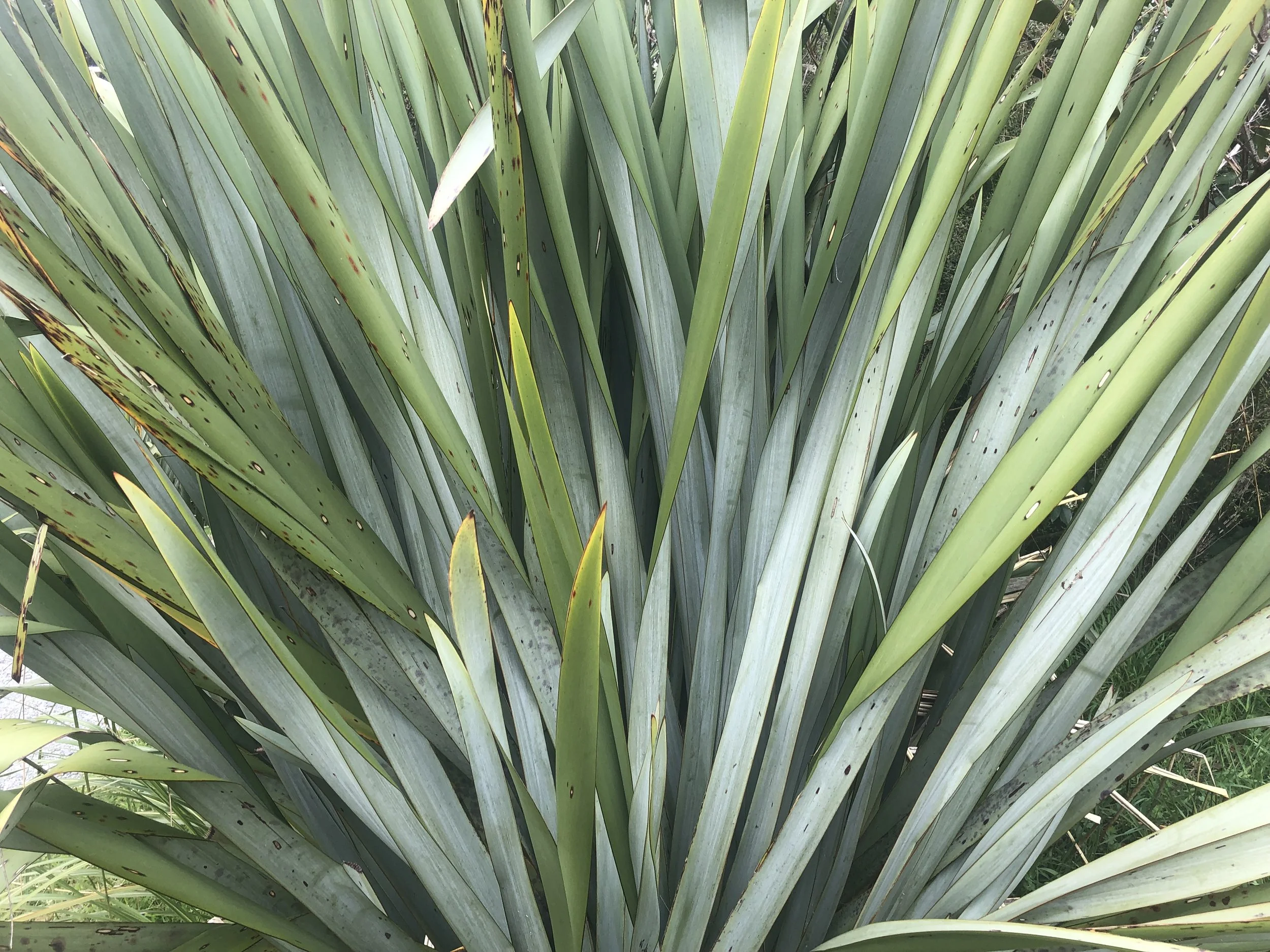 Photo 3-10-21, 14 12 21.jpg