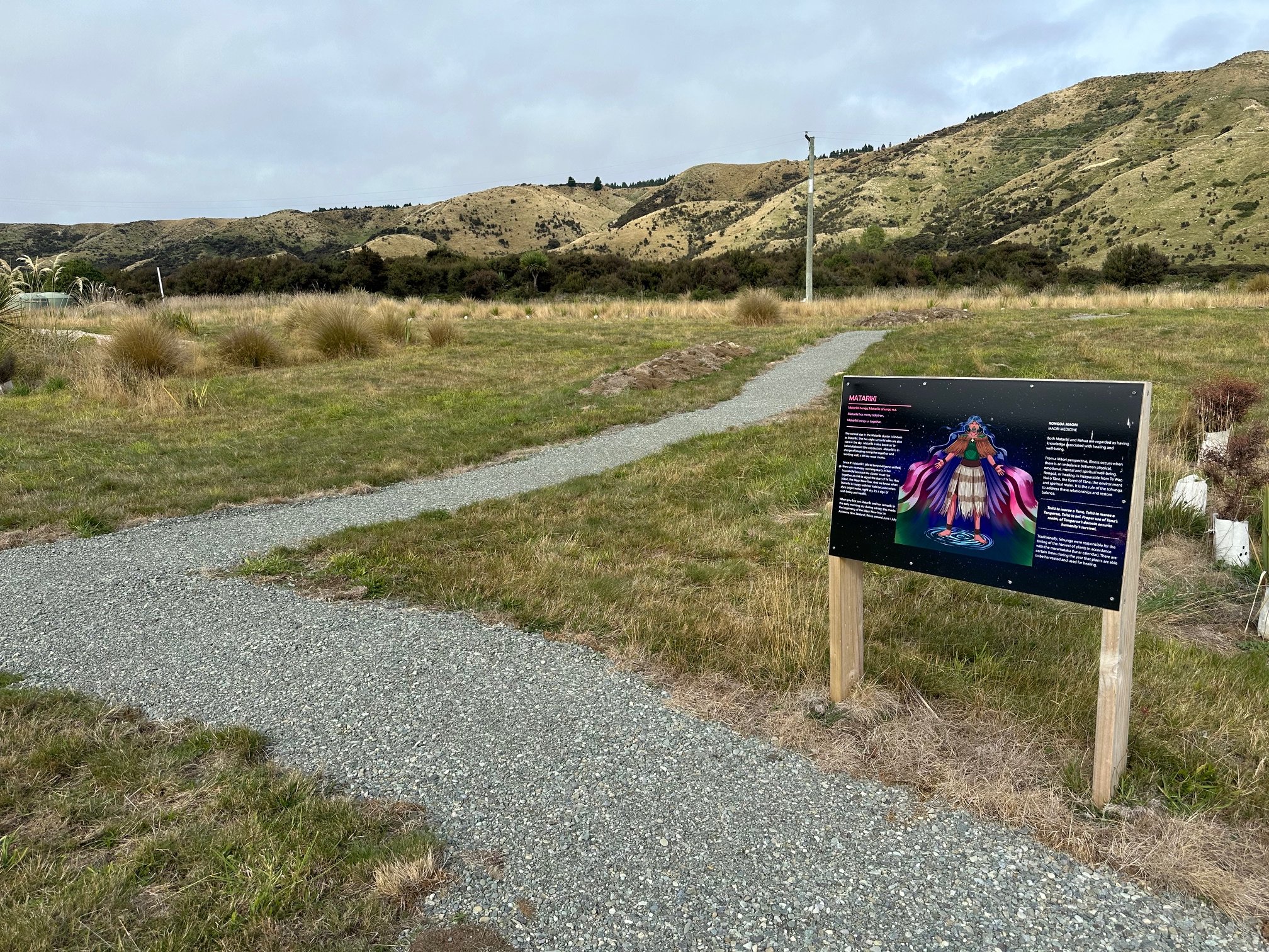 Matariki star signs on our taoka species trail 