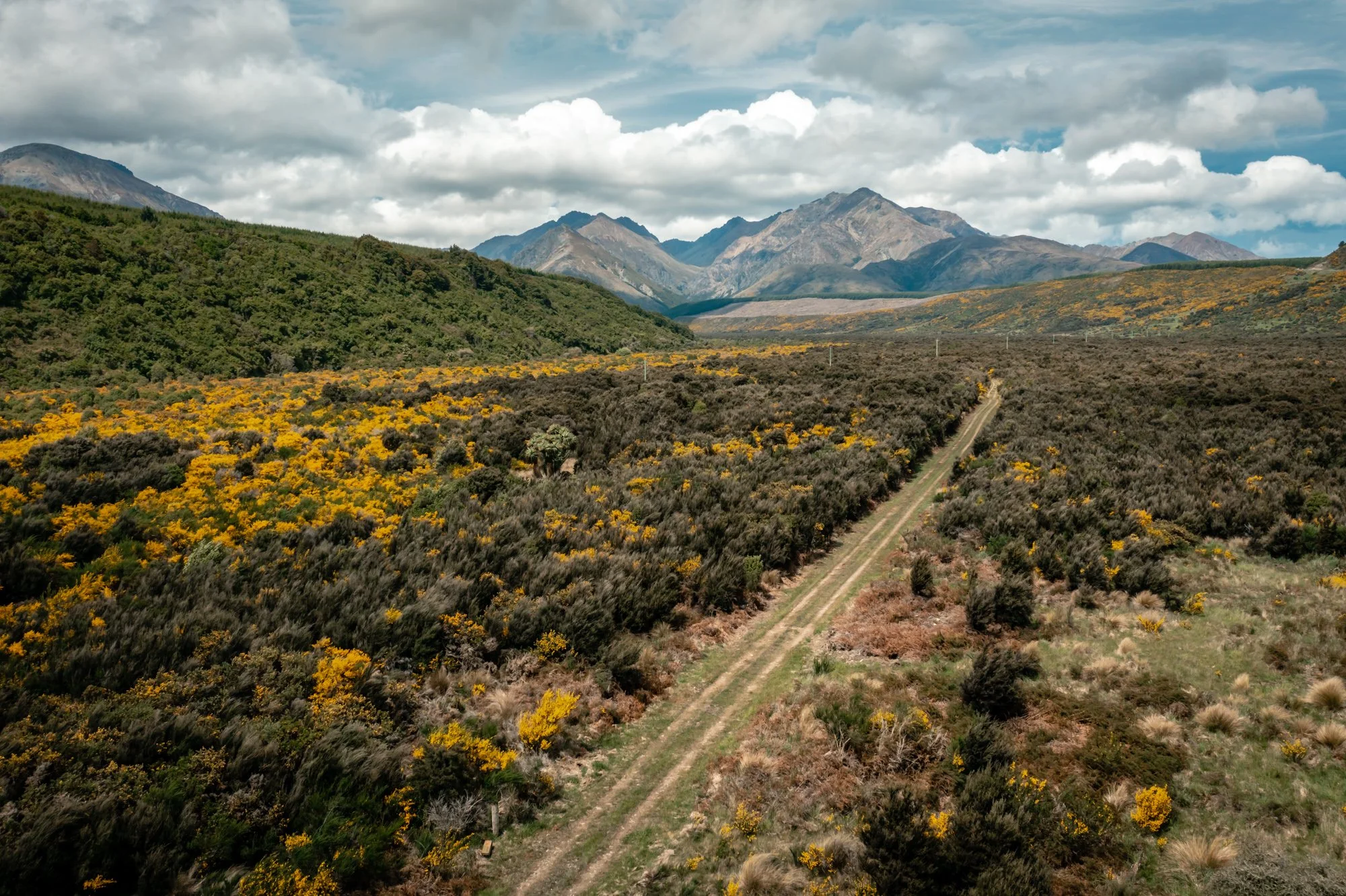 Te Waiau Mahika Kai Trust DJI_0668_LR.jpg