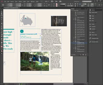 adobe-indesign-screenshot copy.png