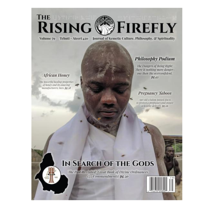 Rising Firefly Issue 79