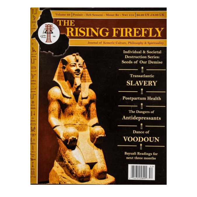 Rising Firefly Issue 69