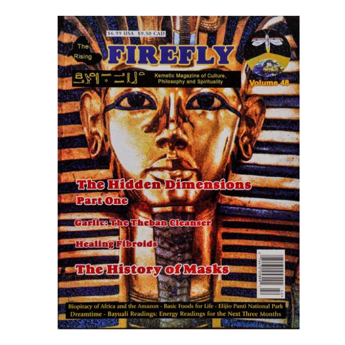 Rising Firefly Issue 48