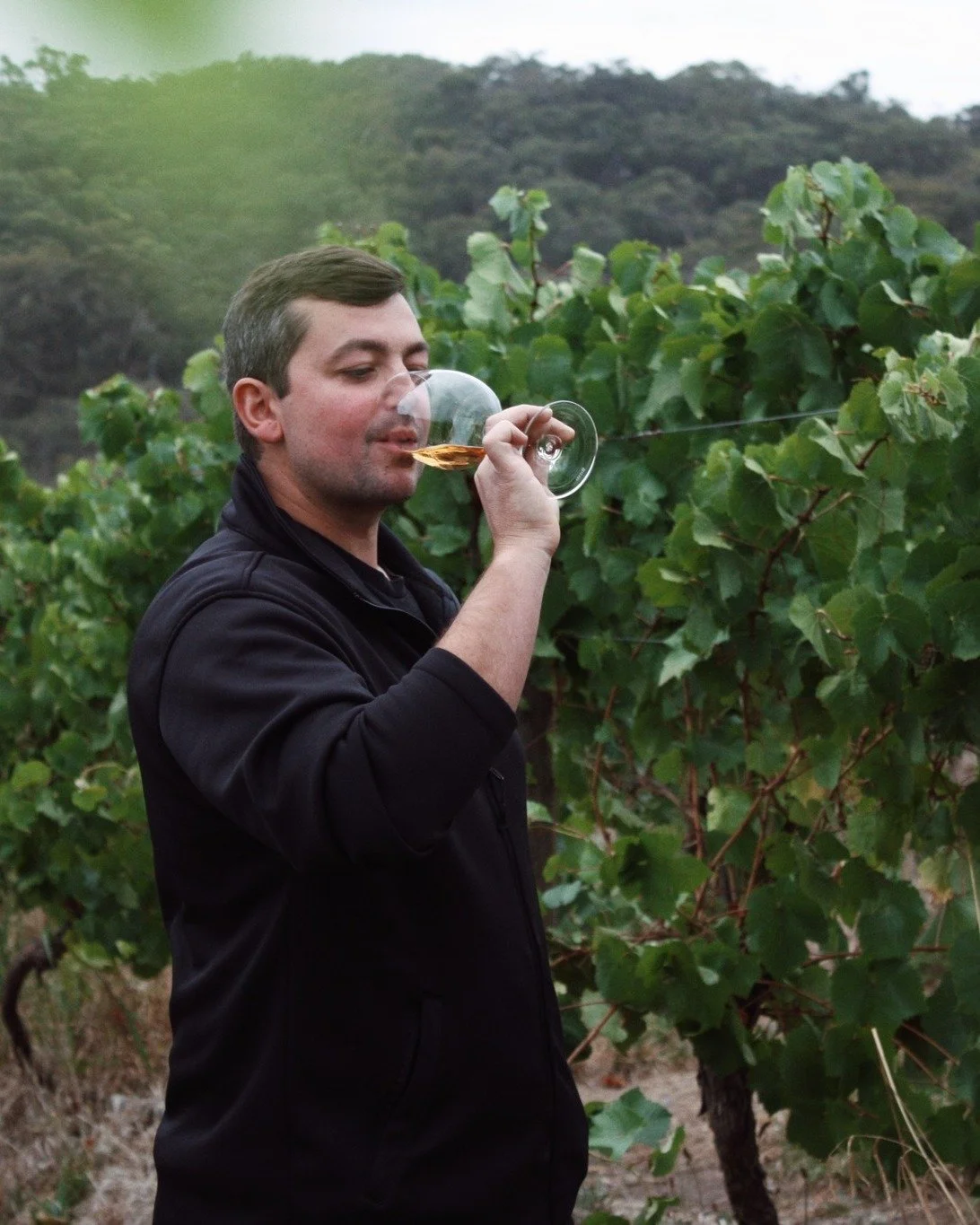 Behind every amazing wine is a story 🍇 Meet the winemakers &ndash; from generational pros to exciting new talent &ndash; and taste the passion at Open Cellars Spring 2025, Oct 18 &amp; 19!

#WineLovers #WineTasting #WhatsOnMelbourne @visitnillumbik 