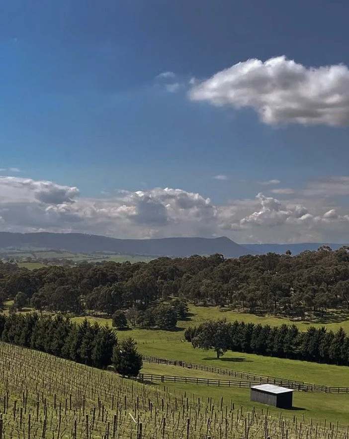 Your perfect weekend plan: a glass of @yarrambatestate wine in hand, cheese platter on the side, and breathtaking views to Mt Sugarloaf 🍇💛 Open Cellars of Nillumbik Spring 2025 is coming October 18&ndash;19!

#WhatsOnMelbourne #WineLovers #VisitNil