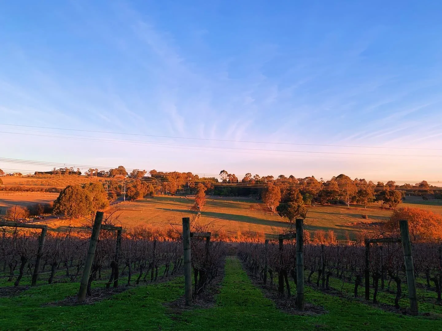 @kings_of_kangaroo_ground are bringing award-winning wines to Open Cellars of Nillumbik Spring 2025! π·π Sip their top-rated Cabernet Sauvignon and Pinot Noir, explore Chardonnay, Shiraz, and their trophy-winning red blend, and take advantage of sp