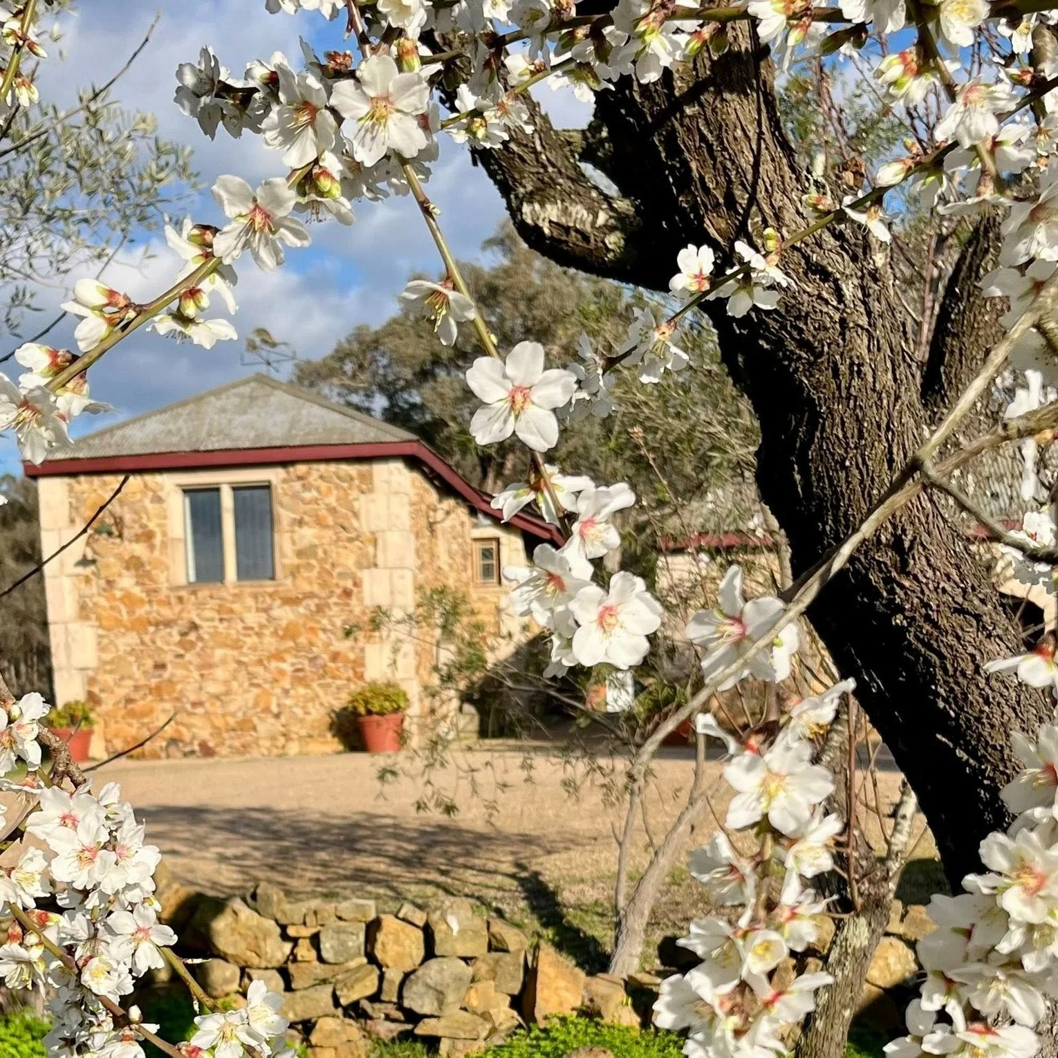 Make THIS weekend a weekend to remember 🍷✨ Open Cellars of Nillumbik Spring 2025 is all about tasting the best wines from right in our own backyard, chatting with the people who make them, and exploring the beautiful small towns along the trail.

Pi