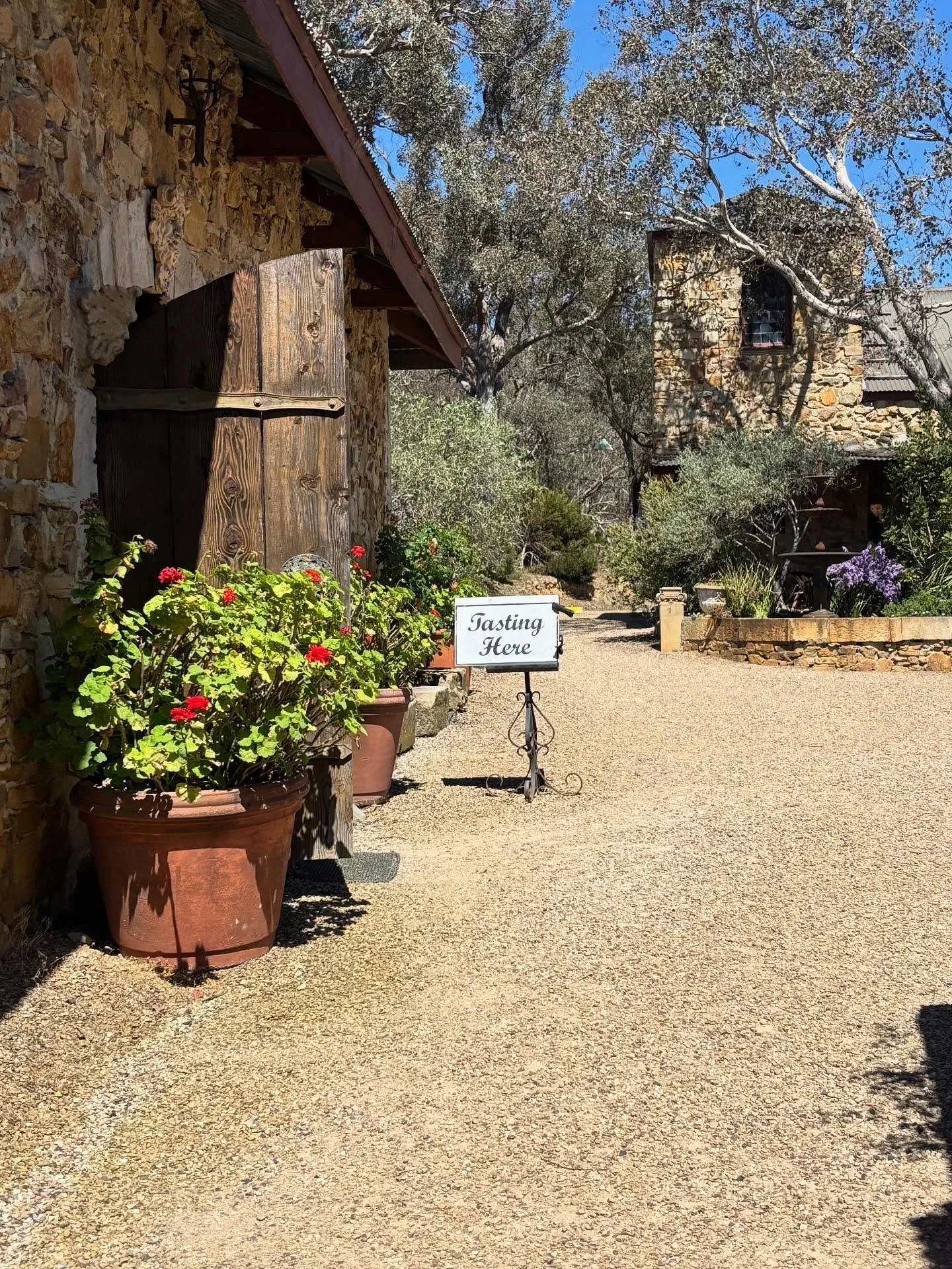 Open Cellars day 2 is TODAY from 11am! π«Ά
Yesterday was the most perfect day of Spring wine tasting - so don’t miss out on your last chance to join in the fun today!
Remember you can download our full program at opencellars.com.au/program
#