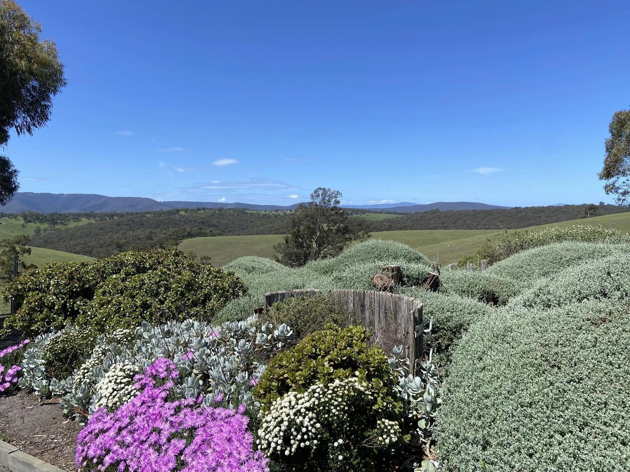 Shaws Road views.jpg