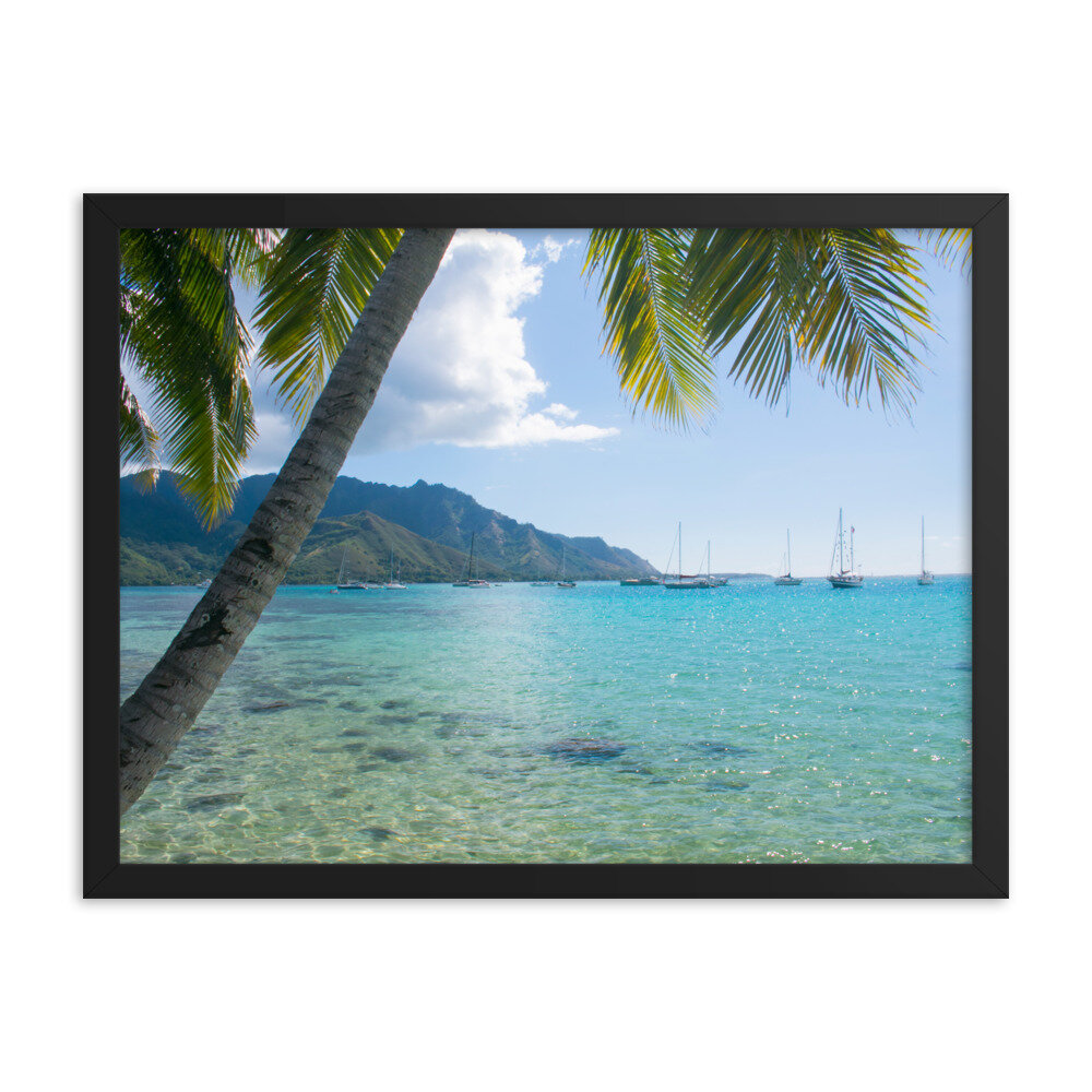 enhanced-matte-paper-framed-poster-(in)-black-18x24-transparent-60d95ba9ce8fc.jpg