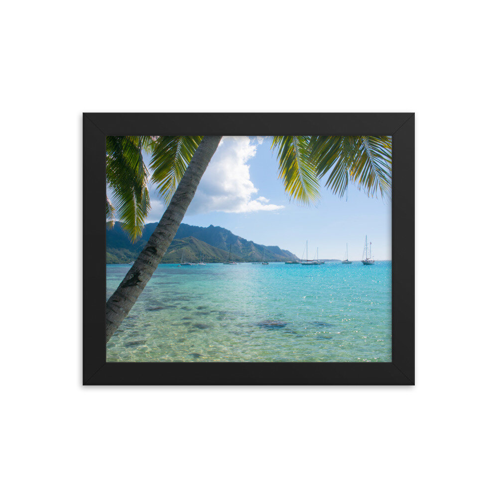 enhanced-matte-paper-framed-poster-(in)-black-8x10-transparent-60d95ba9cebee.jpg