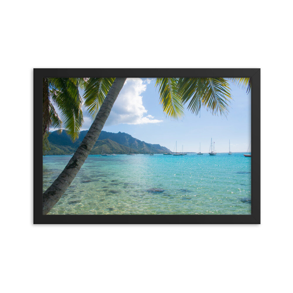 enhanced-matte-paper-framed-poster-(in)-black-12x18-transparent-60d95ba9cecfa.jpg