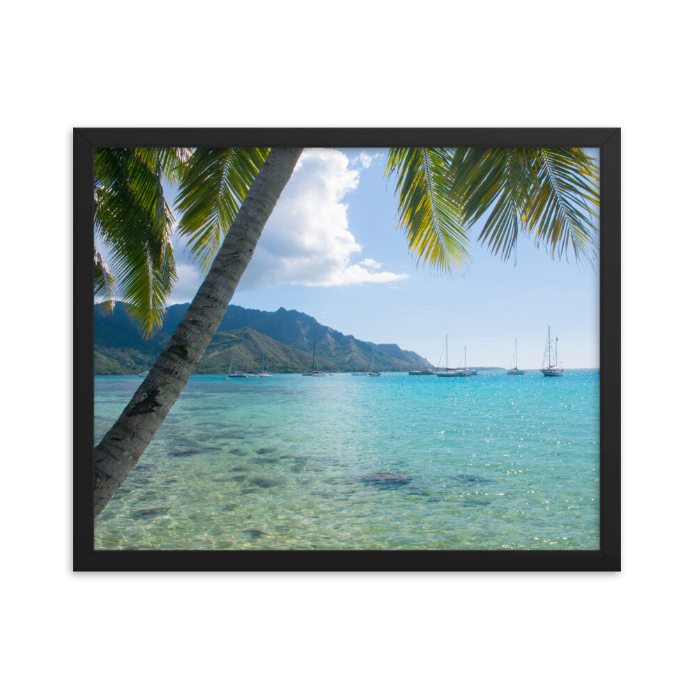 enhanced-matte-paper-framed-poster-(in)-black-16x20-transparent-60d95ba9ced73.jpg