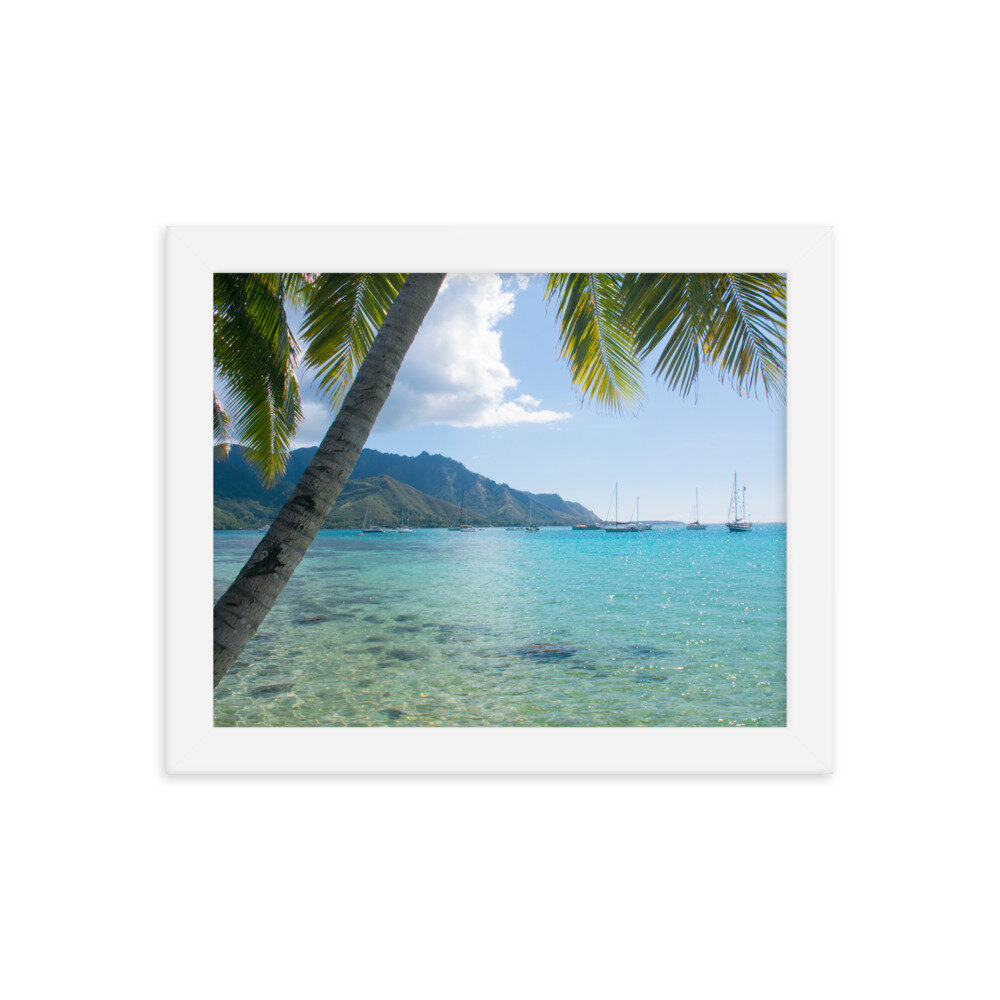 enhanced-matte-paper-framed-poster-(in)-white-8x10-transparent-60d95ba9cee29.jpg