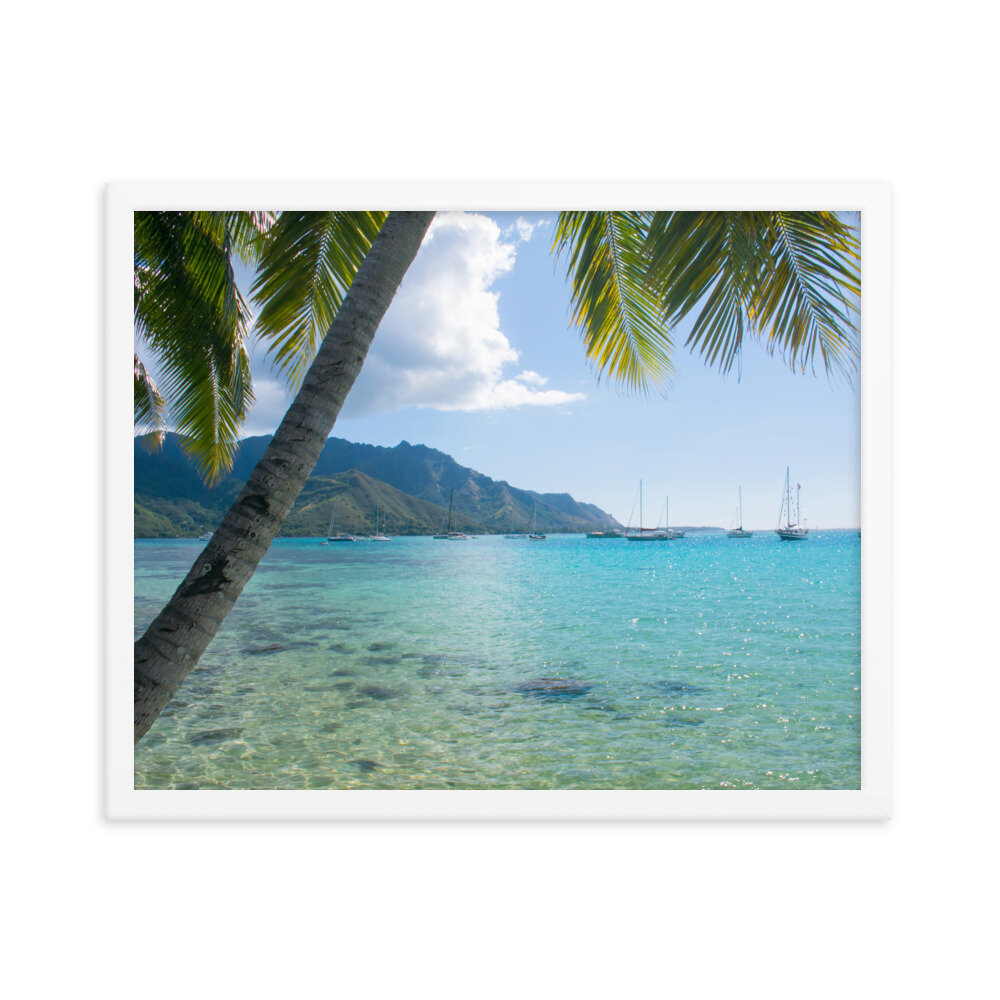 enhanced-matte-paper-framed-poster-(in)-white-16x20-transparent-60d95ba9cefa2.jpg
