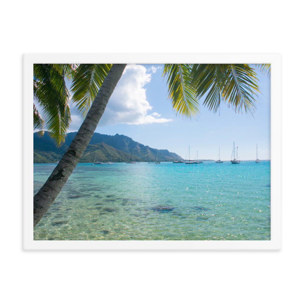 enhanced-matte-paper-framed-poster-(in)-white-18x24-transparent-60d95ba9cf018.jpg