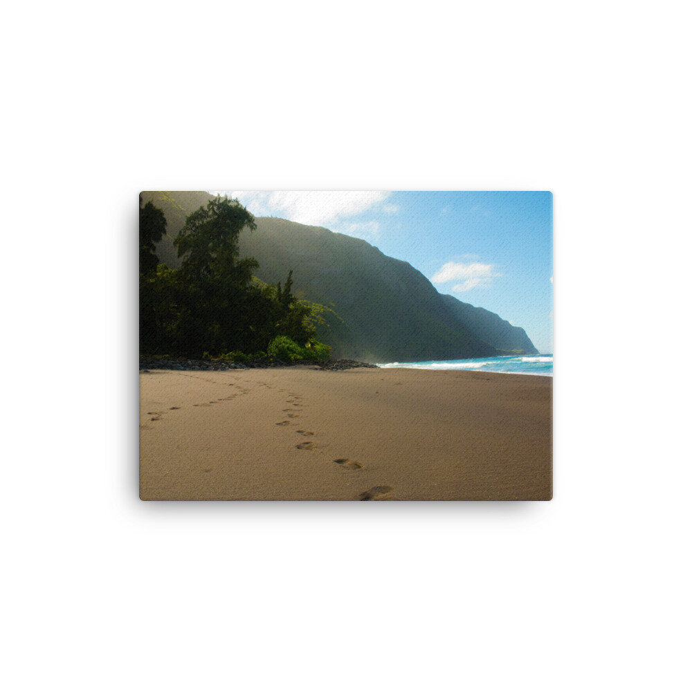 canvas-(in)-12x16-wall-60da0beb083e6.jpg