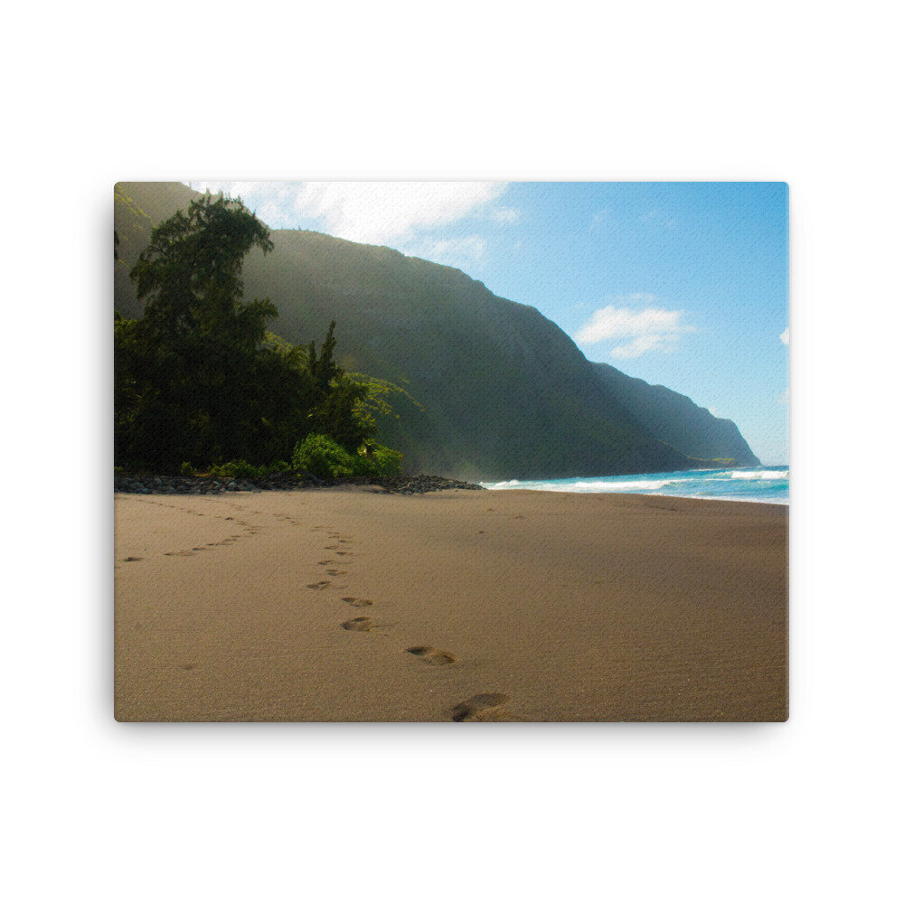 canvas-(in)-16x20-wall-60da0beb084ba.jpg