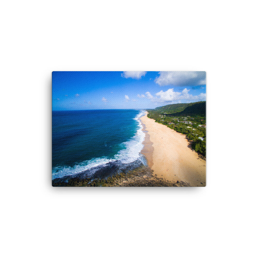 canvas-(in)-12x16-wall-60da102967b86.jpg