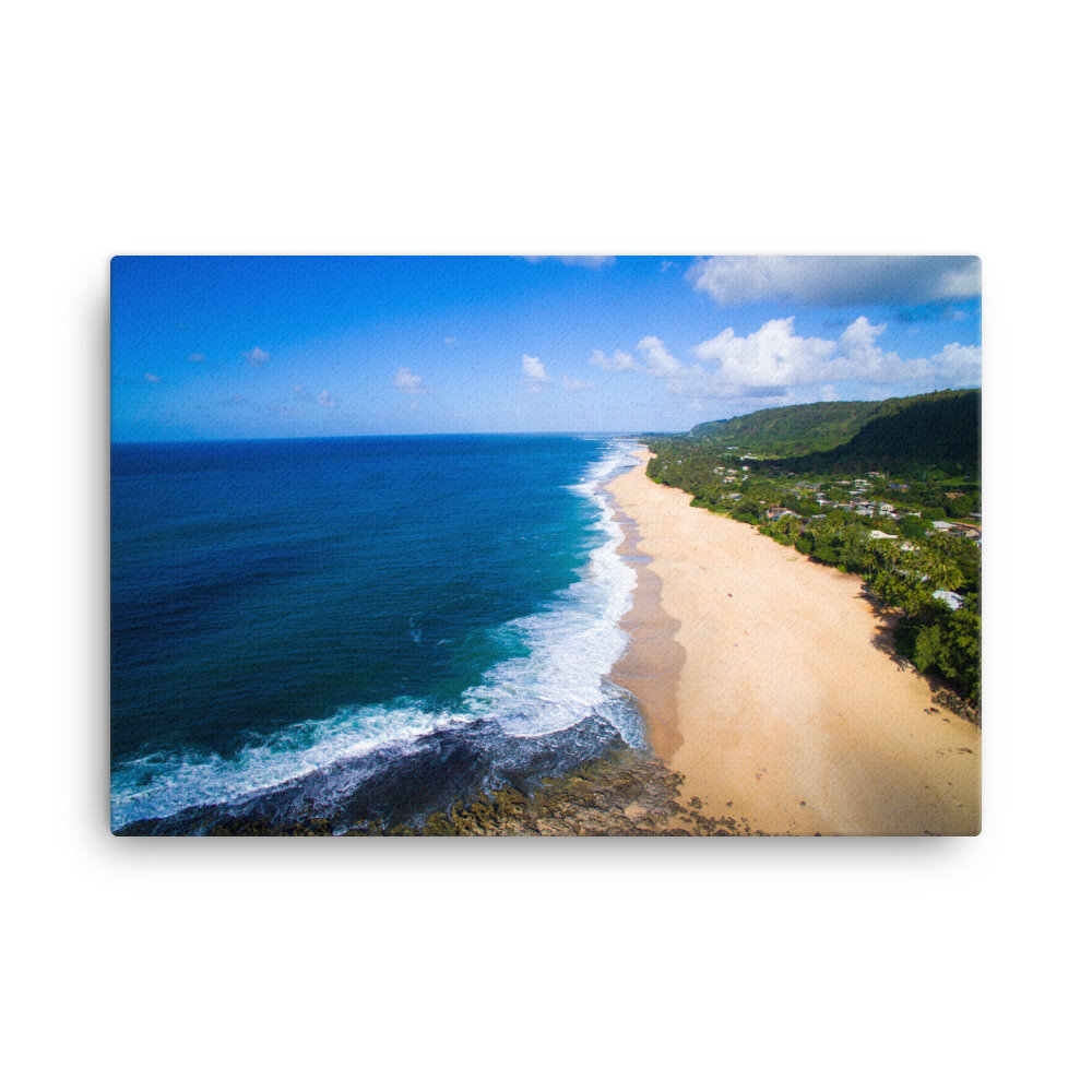 canvas-(in)-24x36-wall-60da102967c6b.jpg