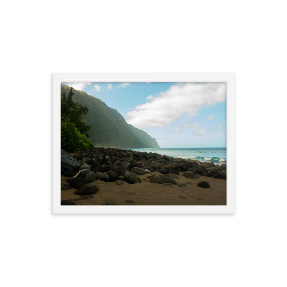 enhanced-matte-paper-framed-poster-(in)-white-12x16-transparent-60da9ef4832a5.jpg