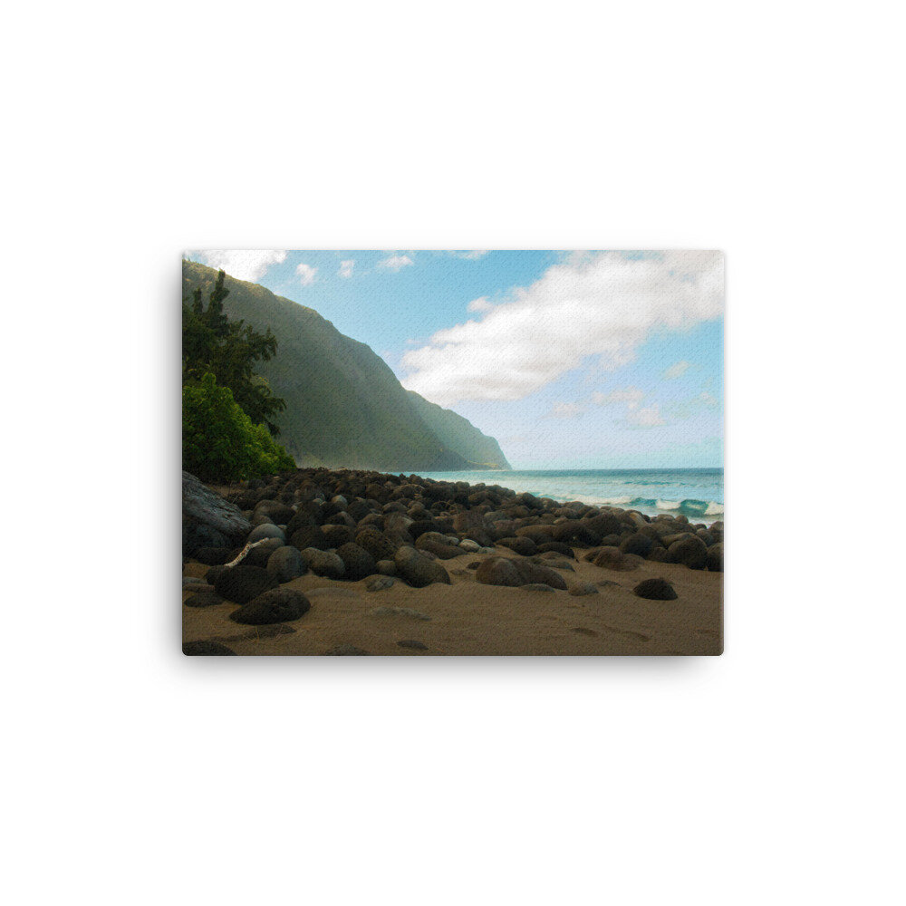 canvas-(in)-12x16-wall-60da9f1a958ae.jpg