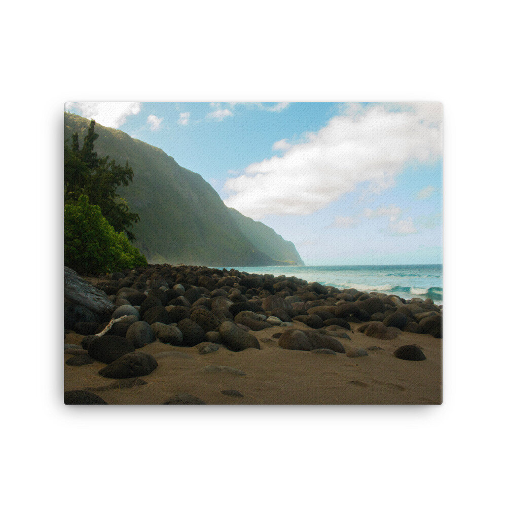 canvas-(in)-16x20-wall-60da9f1a95938.jpg