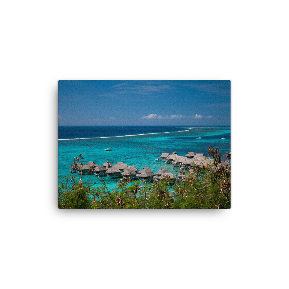 canvas-(in)-12x16-wall-60daa97873c25.jpg