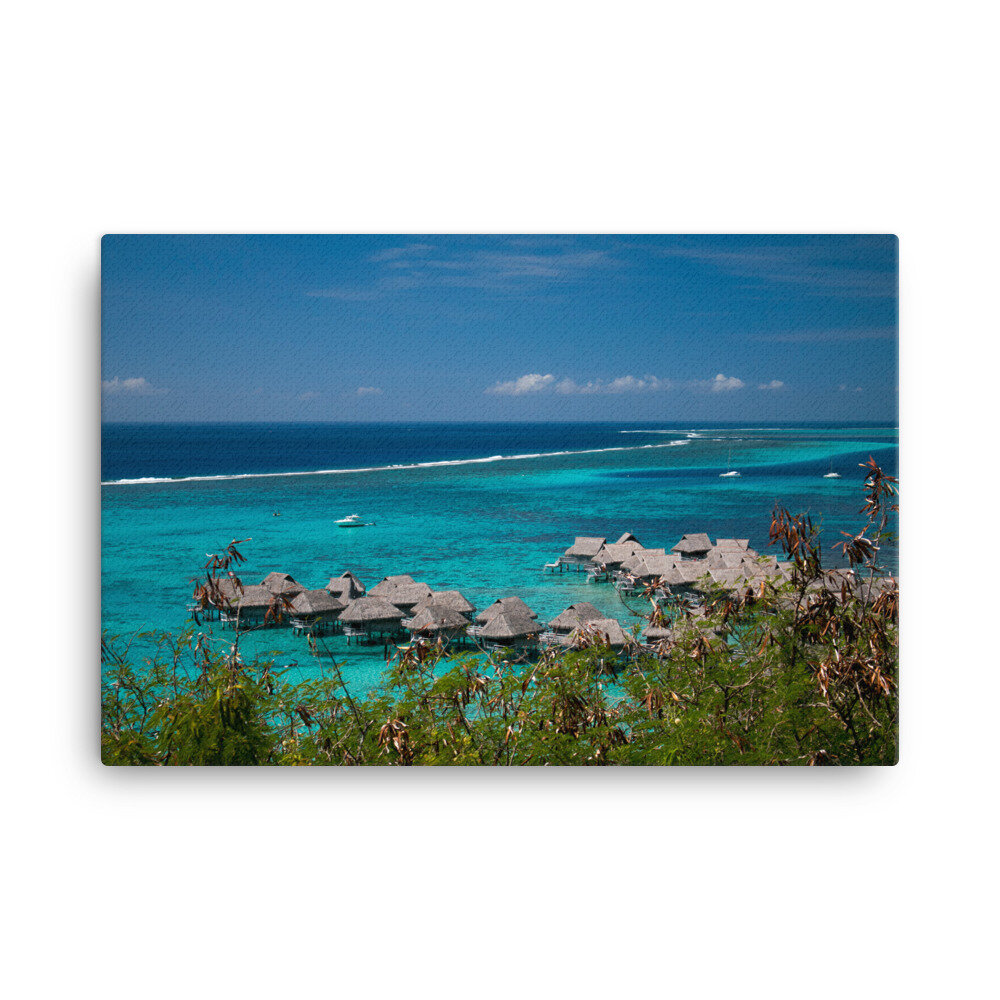 canvas-(in)-24x36-wall-60daa97873d41.jpg