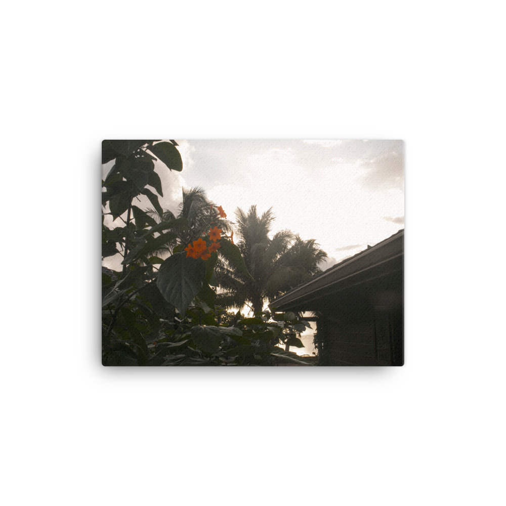 canvas-(in)-12x16-wall-60daafbe0f5cc.jpg