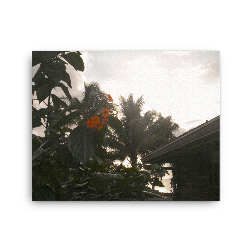 canvas-(in)-16x20-wall-60daafbe0f63f.jpg