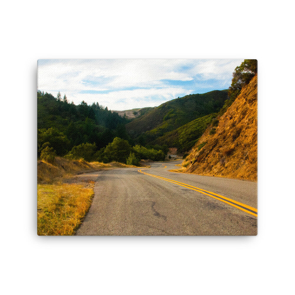 canvas-(in)-16x20-wall-60dc12717f28f.jpg