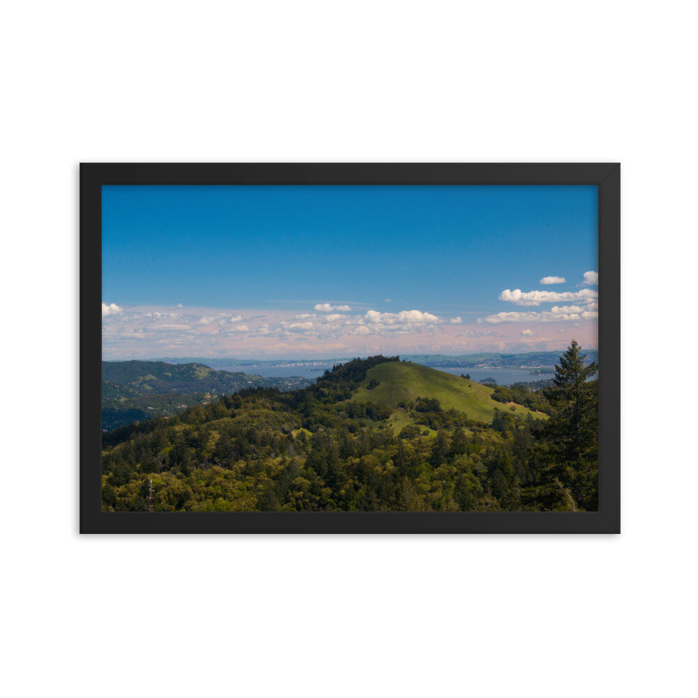 enhanced-matte-paper-framed-poster-(in)-black-12x18-transparent-60dd54596d6de.jpg