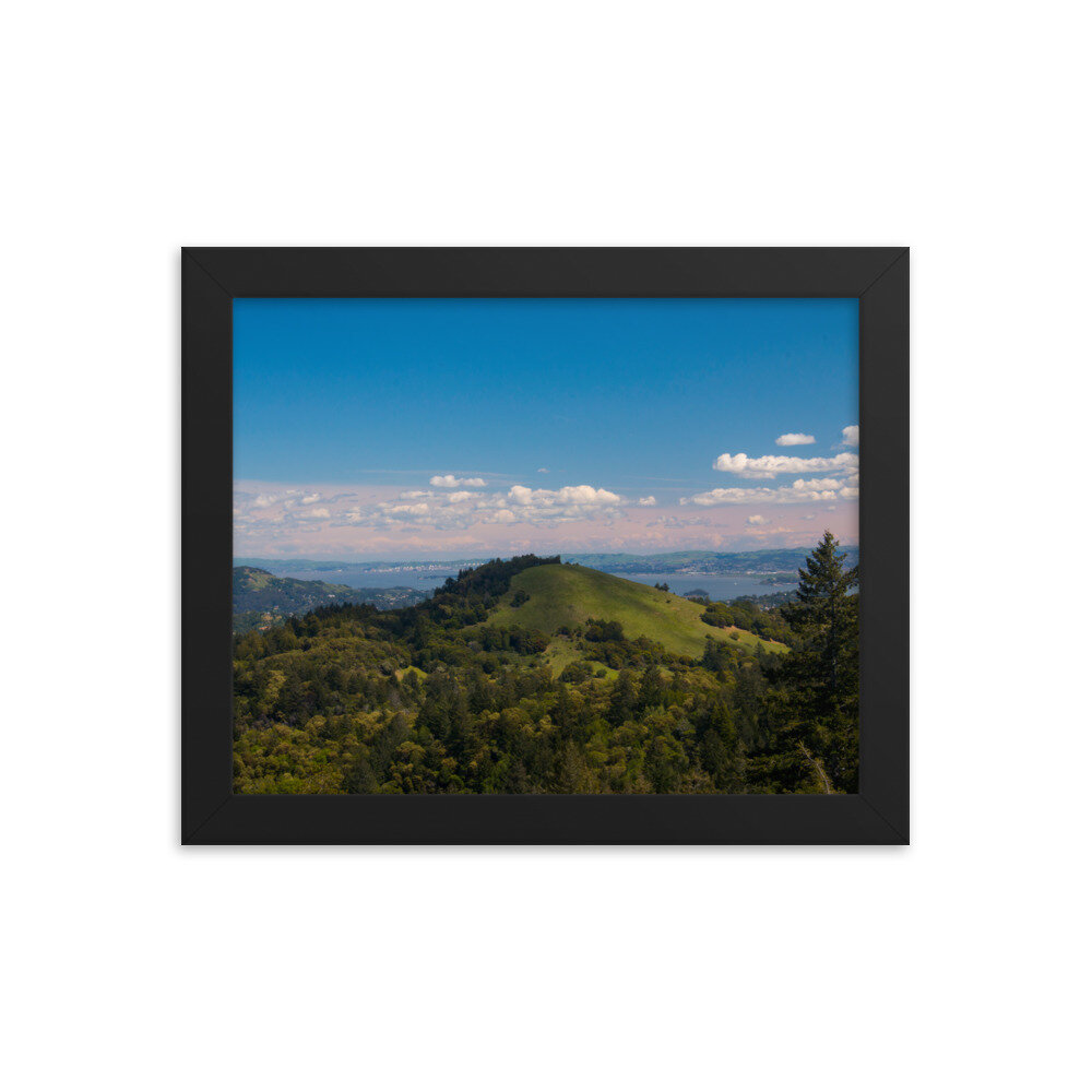 enhanced-matte-paper-framed-poster-(in)-black-8x10-transparent-60dd54596d743.jpg