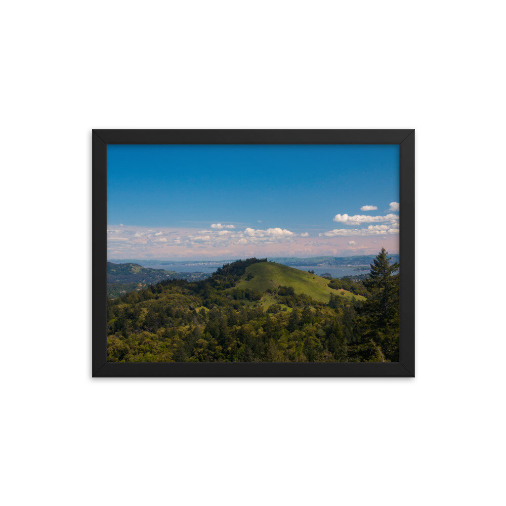 enhanced-matte-paper-framed-poster-(in)-black-12x16-transparent-60dd54596d79a.jpg