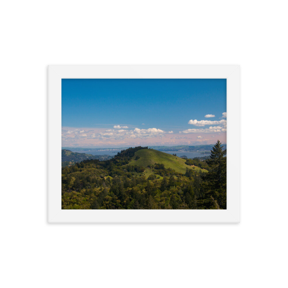 enhanced-matte-paper-framed-poster-(in)-white-8x10-transparent-60dd54596d8ac.jpg