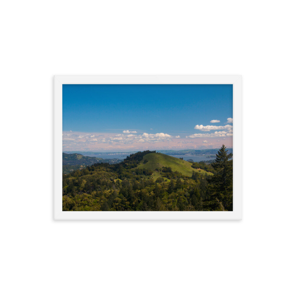 enhanced-matte-paper-framed-poster-(in)-white-12x16-transparent-60dd54596d8f9.jpg