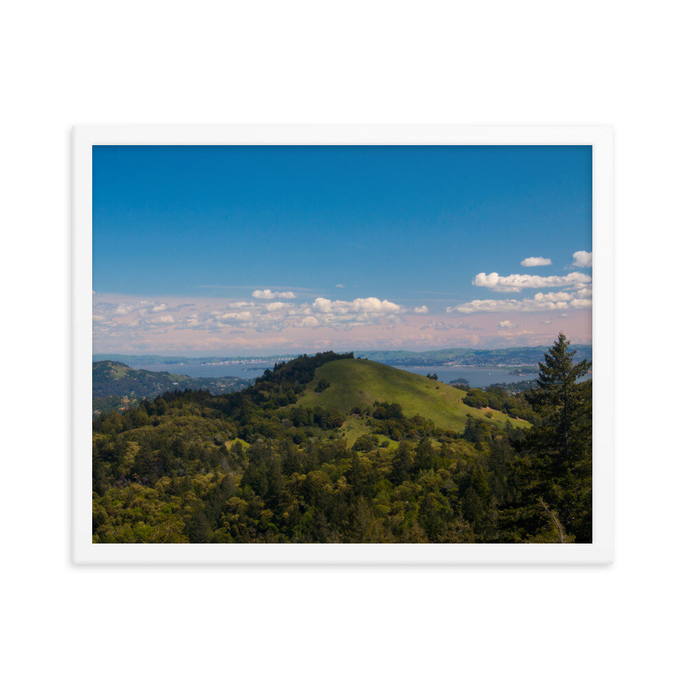 enhanced-matte-paper-framed-poster-(in)-white-16x20-transparent-60dd54596d99b.jpg