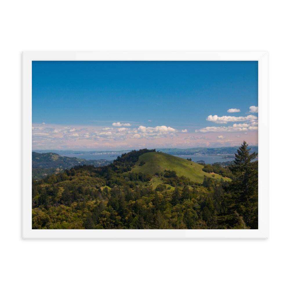enhanced-matte-paper-framed-poster-(in)-white-18x24-transparent-60dd54596d9e7.jpg
